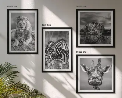 Komplet slik nad zofo z motivi divjih živali, kot so lev, jaguar, žirafa in zebre
