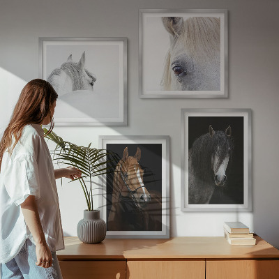 Pripravljena stenska galerija Konjski portreti v odtenkih