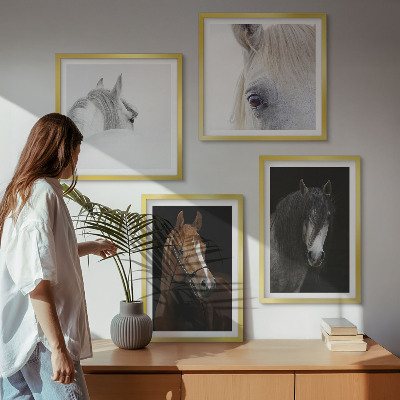 Pripravljena stenska galerija Konjski portreti v odtenkih