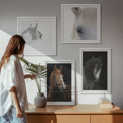 Pripravljena stenska galerija Konjski portreti v odtenkih