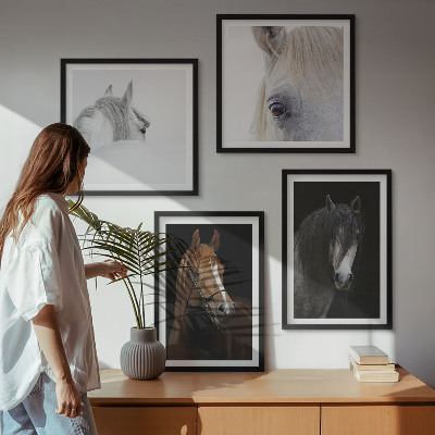 Pripravljena stenska galerija Konjski portreti v odtenkih