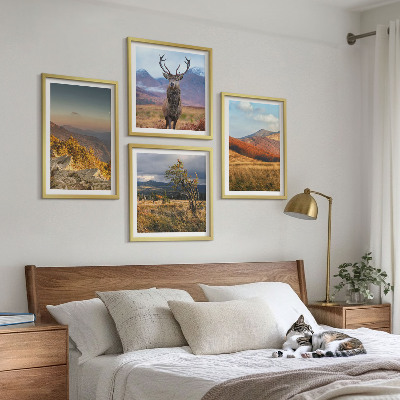 Set 4 slik v okvirju Gorske pokrajine jelenova trava