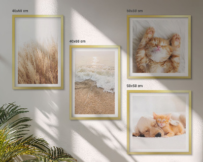 Set 4 slik v okvirju Ljubke živali mačke psi plaža