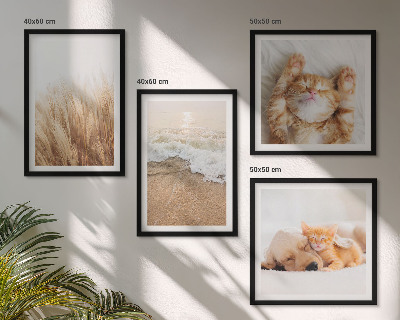 Set 4 slik v okvirju Ljubke živali mačke psi plaža