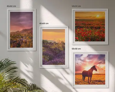 Pripravljena stenska galerija gorska pokrajina s konji in motivi sivke
