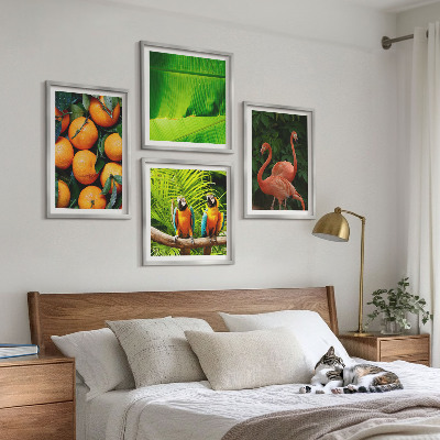 Set 4 slik v okvirju Sadni poudarki tropov