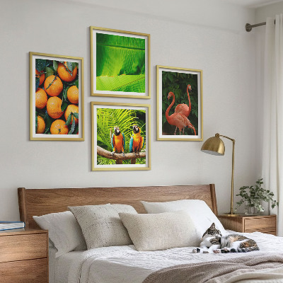 Set 4 slik v okvirju Sadni poudarki tropov
