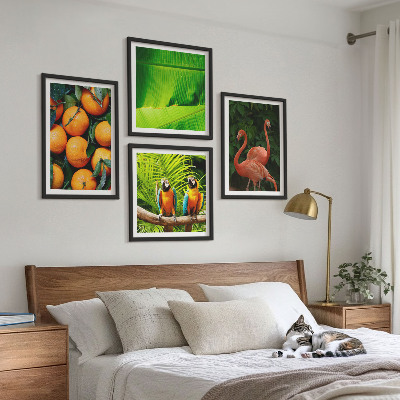 Set 4 slik v okvirju Sadni poudarki tropov