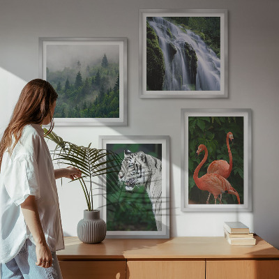 Pripravljena stenska galerija Tiger slap flamingi narava