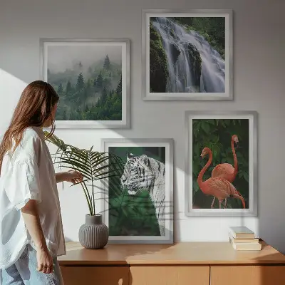 Pripravljena stenska galerija tigra, slapu in flamingov v naravi
