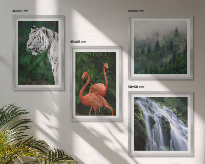 Pripravljena stenska galerija Tiger slap flamingi narava