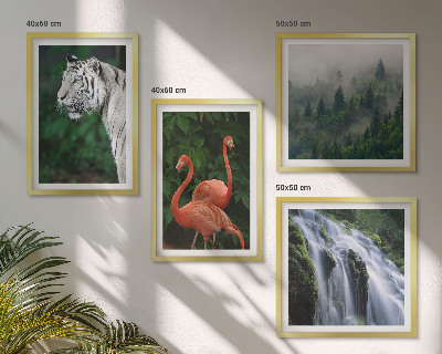 Pripravljena stenska galerija Tiger slap flamingi narava