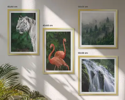 Pripravljena stenska galerija tigra, slapu in flamingov v naravi