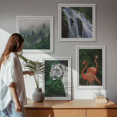 Pripravljena stenska galerija Tiger slap flamingi narava