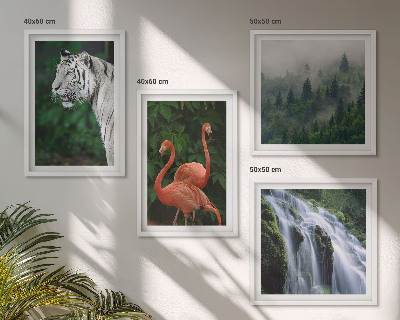 Pripravljena stenska galerija Tiger slap flamingi narava