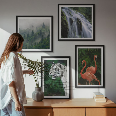 Pripravljena stenska galerija Tiger slap flamingi narava