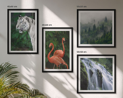 Pripravljena stenska galerija Tiger slap flamingi narava