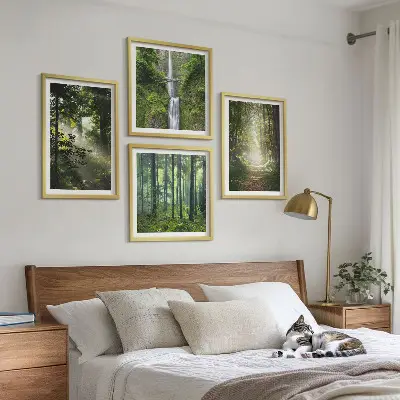 Zeleni gozdovi žarki svetlobe komplet 4 slik v okvirju