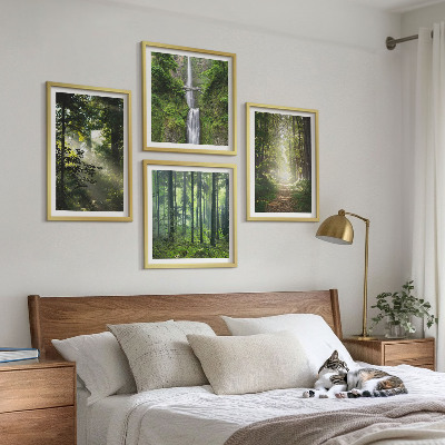 Set 4 slik v okvirju Zeleni gozdovi žarki svetlobe
