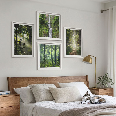 Set 4 slik v okvirju Zeleni gozdovi žarki svetlobe