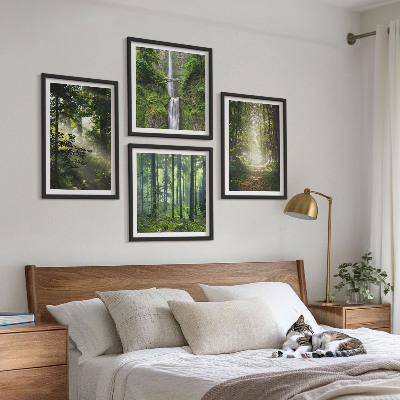Set 4 slik v okvirju Zeleni gozdovi žarki svetlobe