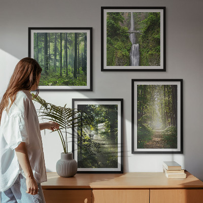 Set 4 slik v okvirju Zeleni gozdovi žarki svetlobe