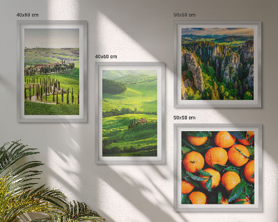 Set 4 slik v okvirju Italijansko podeželje pomaranče narava