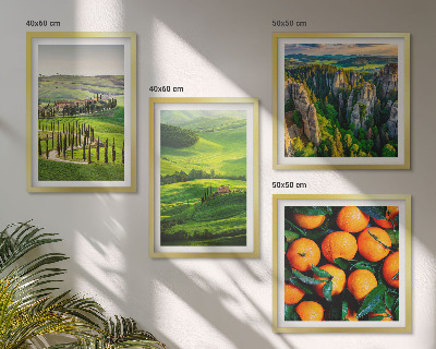 Set 4 slik v okvirju Italijansko podeželje pomaranče narava