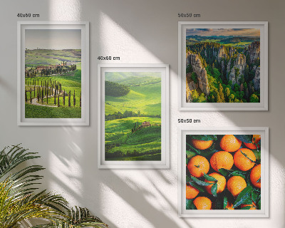 Set 4 slik v okvirju Italijansko podeželje pomaranče narava