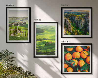 Set 4 slik v okvirju Italijansko podeželje pomaranče narava