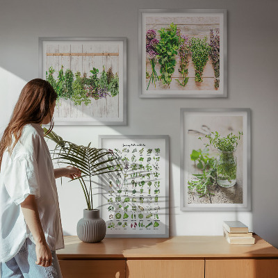 Pripravljena stenska galerija Posušena zelišča za kuhinjo