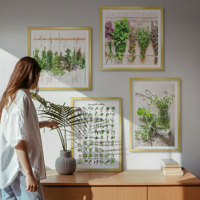 Pripravljena stenska galerija Posušena zelišča za kuhinjo