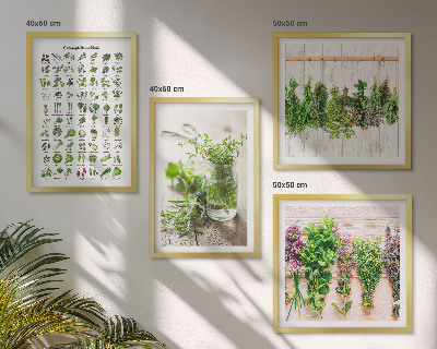 Pripravljena stenska galerija Posušena zelišča za kuhinjo