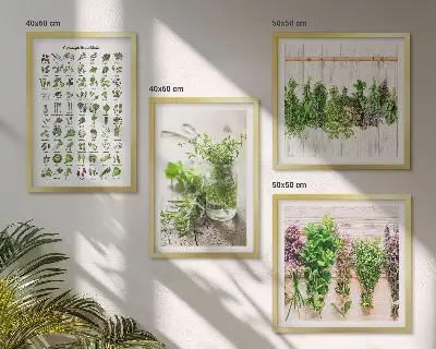 Stenska galerija s posušenimi zelišči pripravljen komplet za kuhinjo
