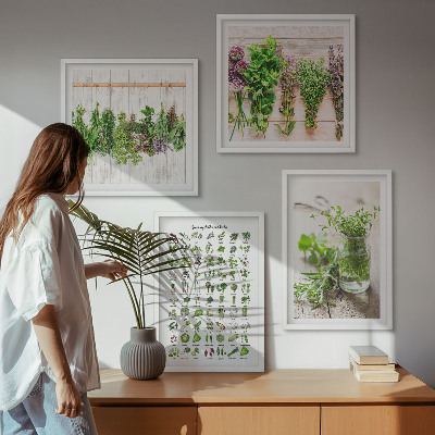 Pripravljena stenska galerija Posušena zelišča za kuhinjo