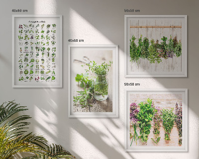 Pripravljena stenska galerija Posušena zelišča za kuhinjo