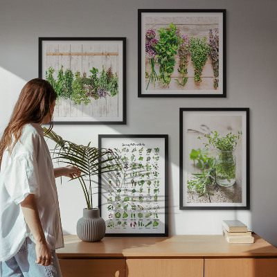 Pripravljena stenska galerija Posušena zelišča za kuhinjo