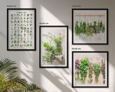 Pripravljena stenska galerija Posušena zelišča za kuhinjo