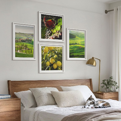 Set 4 slik v okvirju Italijanske pokrajine citrusnih gričev