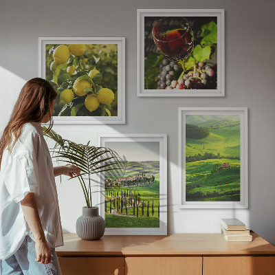 Set 4 slik v okvirju Italijanske pokrajine citrusnih gričev