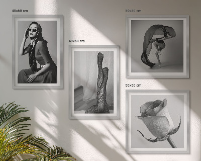 Pripravljena stenska galerija Elegantni portreti elegantnih žensk