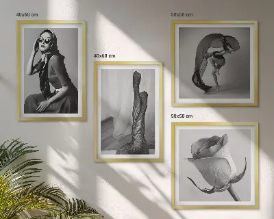 Pripravljena stenska galerija elegantni portreti žensk