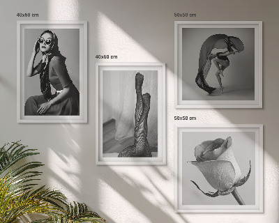 Pripravljena stenska galerija Elegantni portreti elegantnih žensk