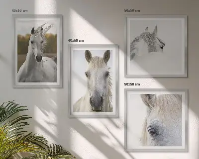 Komplet slik Beli konji nad zofo