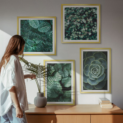 Set 4 slik v okvirju Zeleni listi elegantnih sukulent