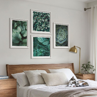 Set 4 slik v okvirju Zeleni listi elegantnih sukulent