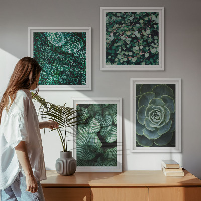 Set 4 slik v okvirju Zeleni listi elegantnih sukulent
