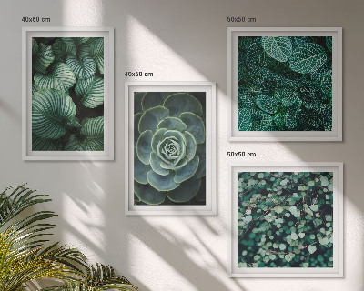 Set 4 slik v okvirju Zeleni listi elegantnih sukulent