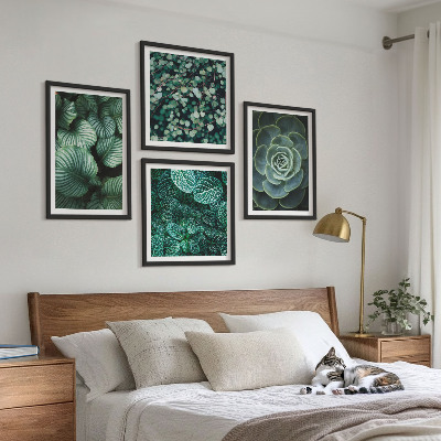Set 4 slik v okvirju Zeleni listi elegantnih sukulent
