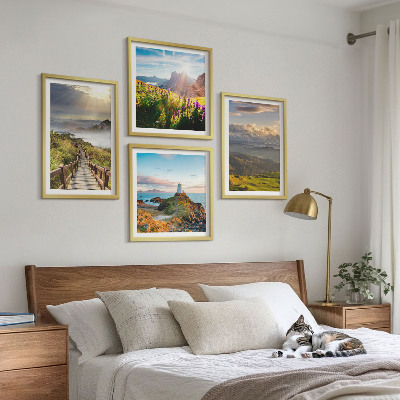 Set 4 slik v okvirju Nebesna pot gorskega cvetja